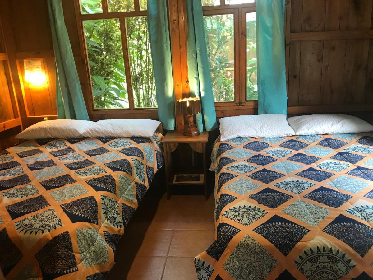 Hosteria Los Cedros De Mindo Eksteriør billede