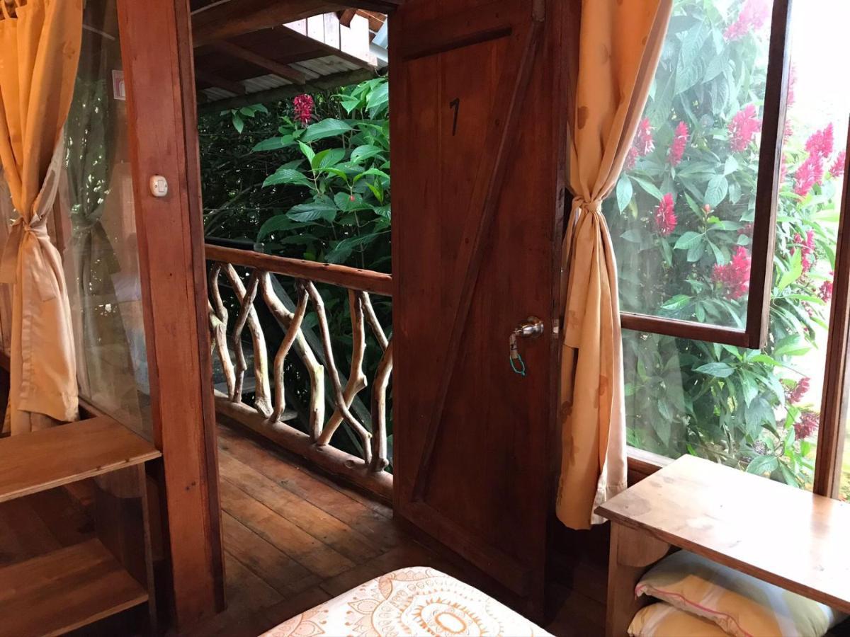 Hosteria Los Cedros De Mindo Eksteriør billede